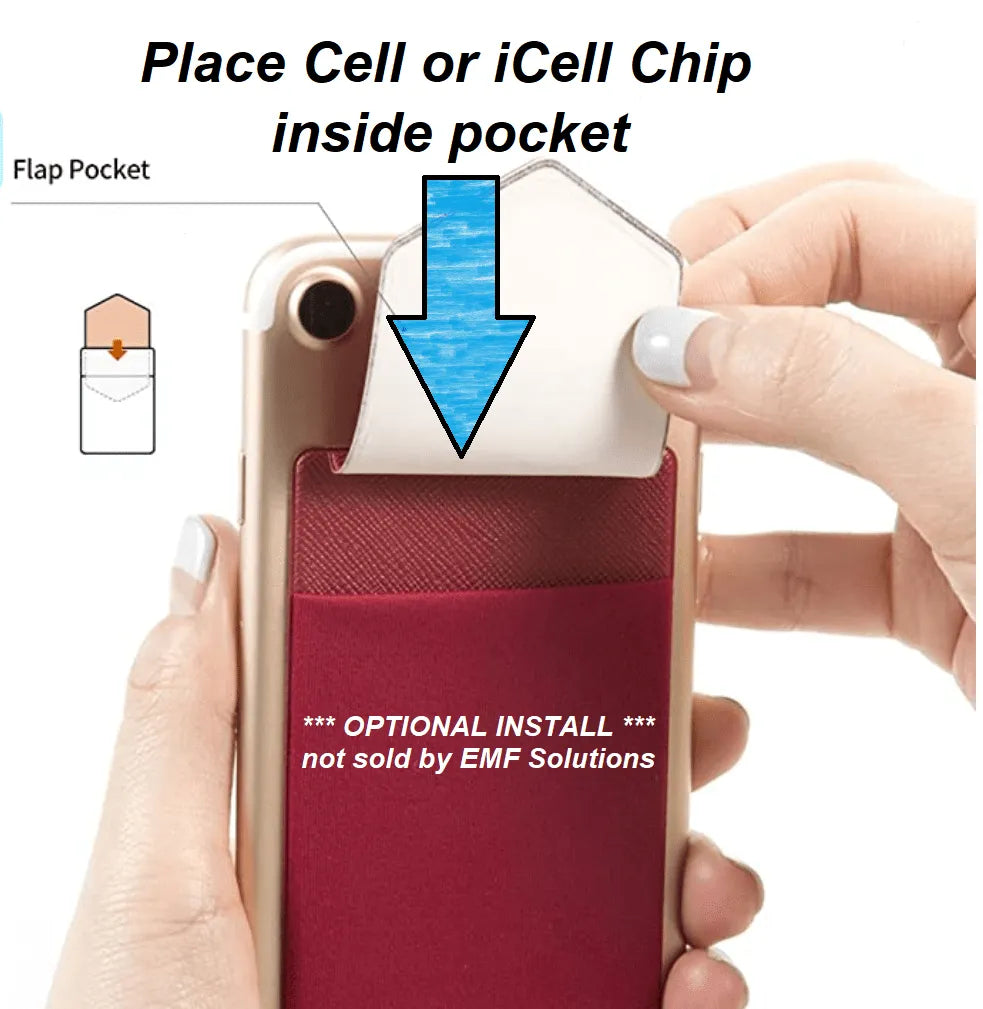 iCell Chip