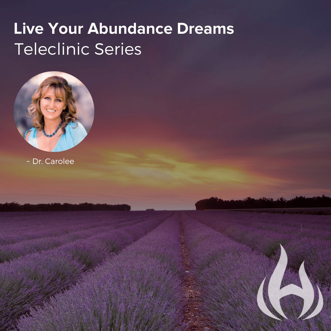Live Your Abundance Dreams Teleclinic Series