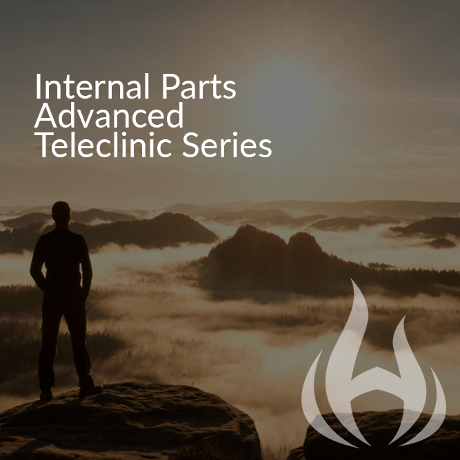 Internal Parts Advanced Teleclinic Series
