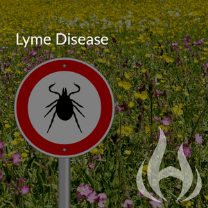 Lyme Disease